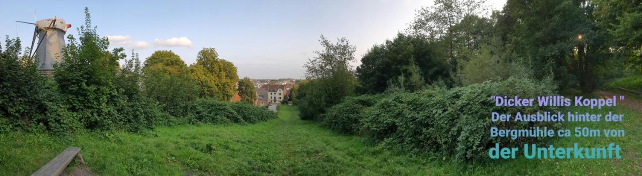 Ferienhaus An Der Bergmuehle Villa Flensburgo Esterno foto